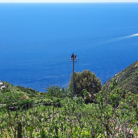 Appartamento Sunset - Homy 5 Terre Retreat Biassa Esterno foto