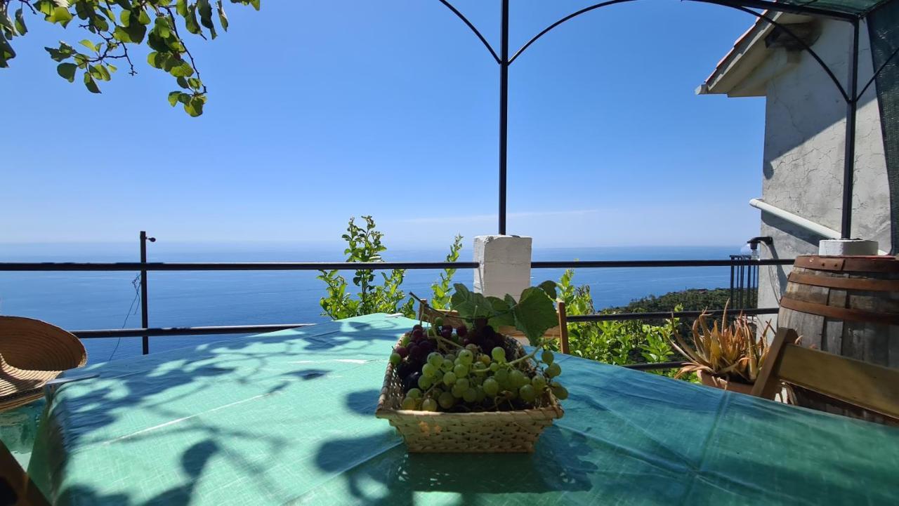 Appartamento Sunset - Homy 5 Terre Retreat Biassa Esterno foto